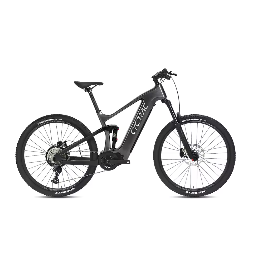 EM10 2025 - ELECTRIC ALLOY BIKE