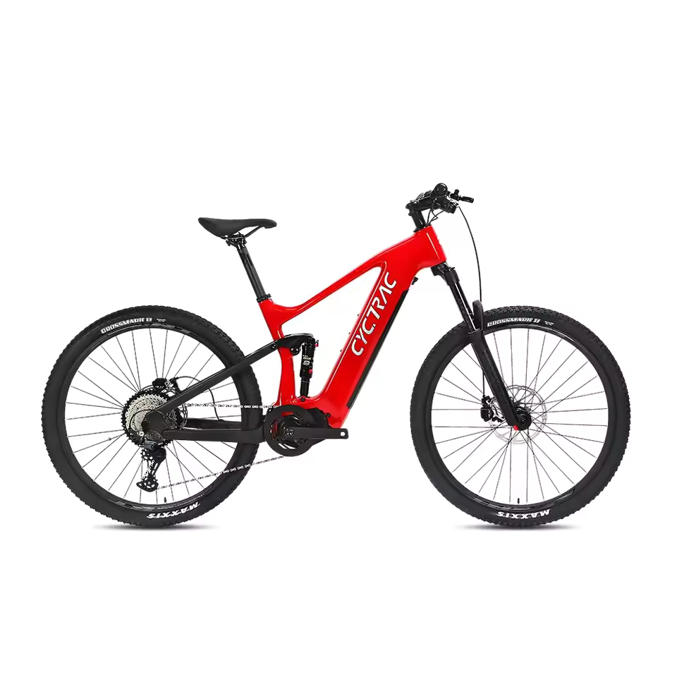 EM10 2025 - ELECTRIC ALLOY BIKE